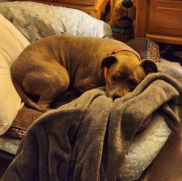 Come join me for a live show. 💜❤️. Come join the fun. - Picture 9 of 16